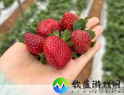 草莓视频色多多8x8x：探索草莓视频新玩法：多多8x8x让你乐趣无限！