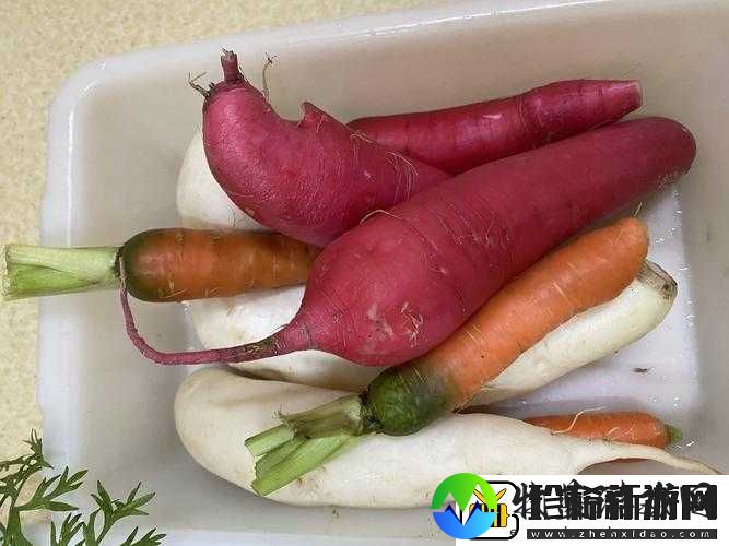 拔萝卜痛又降黄